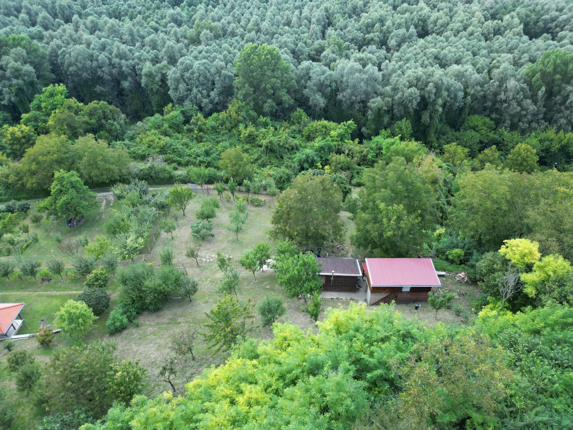 Вилла Odmor Za Dusu I Tijelo U Srcu Prirode Aljmas Экстерьер фото